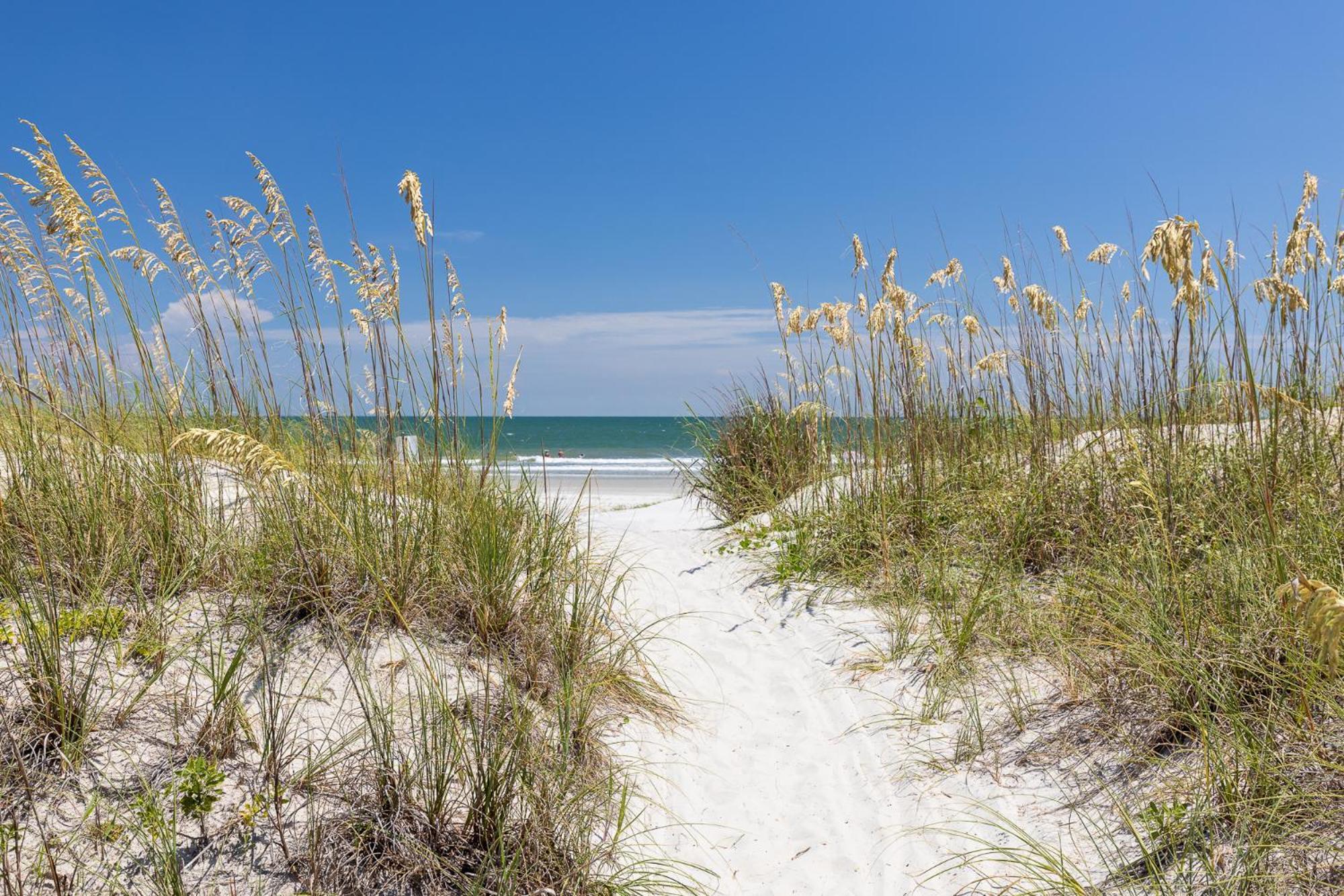 6 Wanderer - Host2Coast Villa Hilton Head Island Exteriör bild